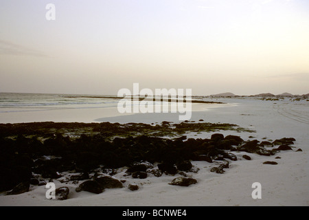 yemen bir ali beach Stock Photo