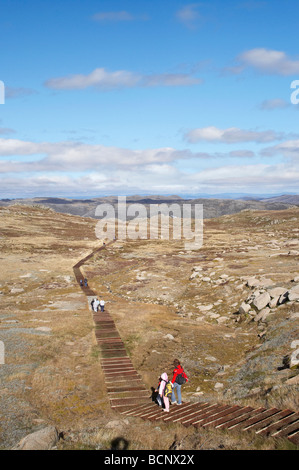 Walkers on Track to Mt Kosciuszko Kosciuszko National Park Snowy Mountains New South Wales Australia Stock Photo