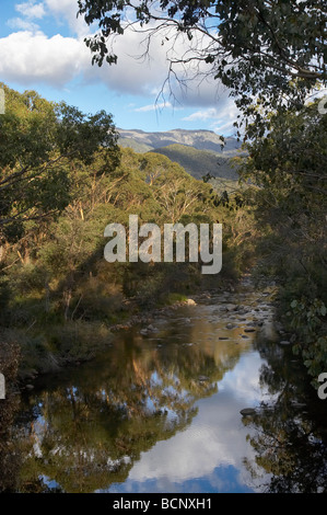 Swampy Plains River Geehi Flats Kosciuszko National Park Snowy Mountains New South Wales Australia Stock Photo
