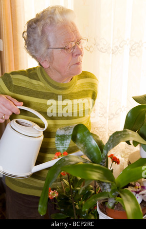 Frau in ihren Siebzigern steht im Wohnzimmer und gießt ihre Pflanzen Stock Photo