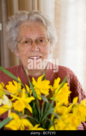 Frau in ihren Siebzigern steht im Wohnzimmer und hält einen Strauß Osterglocken Narcissus pseudonarcissus  Stock Photo