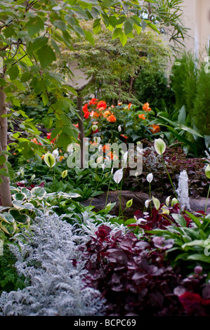 Glasshouse with peace lily or spatiphilum Stock Photo