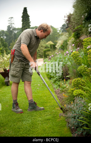 A male gardener working tidying flowerbed in the gardens at the National Trust property Powis Castle welshpool Powys WALES UK Stock Photo