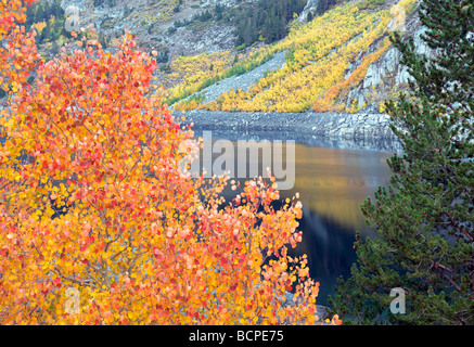 South Lake with aspens in fall color Inyo National Forest Eastern Sierras California Stock Photo