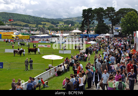 The Royal Welsh Show, Builth Wells, Powys, Wales, UK Stock Photo