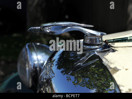 Austin Swallow vintage car badge on radiator grill Stock Photo - Alamy