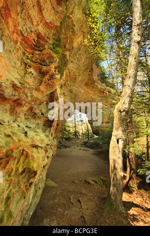 Twin Arches Big South Fork National River and Recreation Area Tennessee Stock Photo