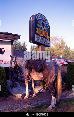 Maple Ridge, BC, Fraser Valley, British Columbia, Canada - Saddled Horse tied up and waiting at Pub to carry Owner Home Stock Photo