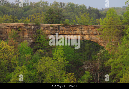 View of Natural Bridge from Lookout Point Natural Bridge State Resort Park Slade Kentucky Stock Photo