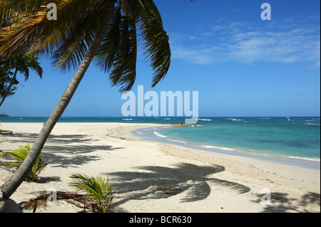 Dominican Republic beach in the Puerto Plato Stock Photo