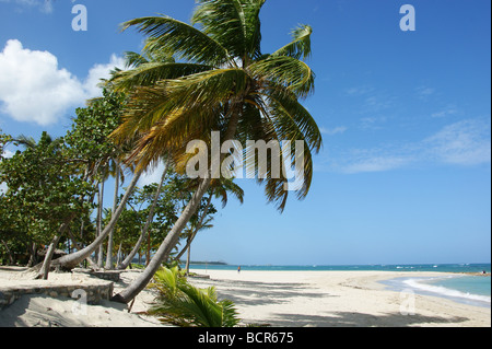 Tropical beach in Puerto Plato in Dominican Republic Stock Photo