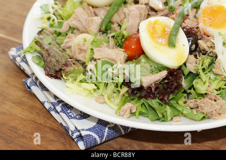 Healthy Fresh Mediterranean Style Salad Nicoise With Tuna Fish And Egg Stock Photo