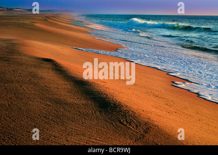 Portugal, Alentejo: Dunes at beach Praia de Melides Stock Photo