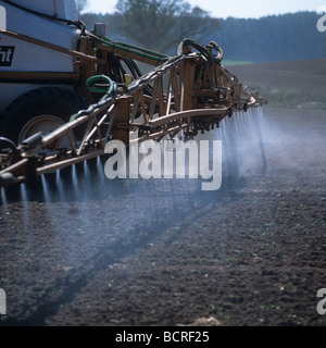 Spraying very young field bean crop with boom sprayer Devon Stock Photo