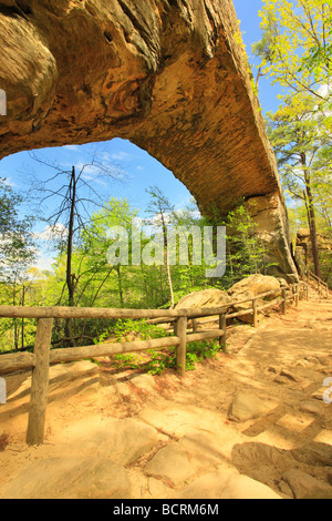 Trail at bottom of the Natural Bridge Natural Bridge State Resort Park Slade Kentucky Stock Photo