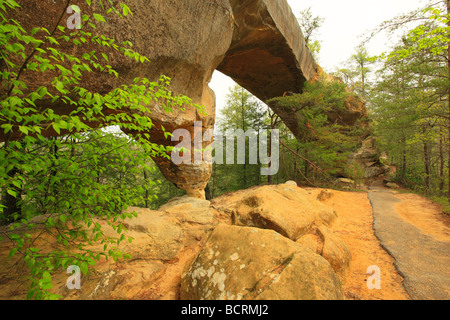 Sky Bridge Red River Gorge Geological Area Slade Kentucky Stock Photo