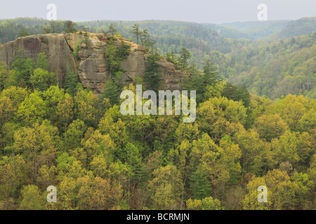 View from Chimney Top Rock Red River Gorge Geological Area Slade Kentucky Stock Photo