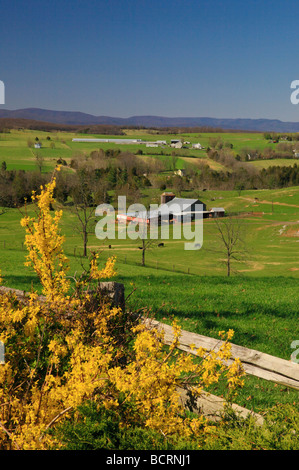 Farm Scene Springhill Shenandoah Valley Virginia Stock Photo