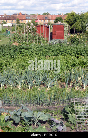 West Oxford City Council Allotments Stock Photo