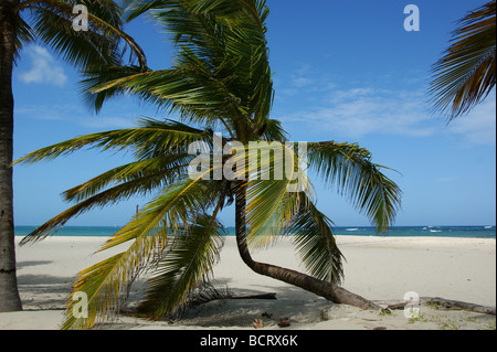 Tropical beach in Puerto Plato in Dominican Republic Stock Photo