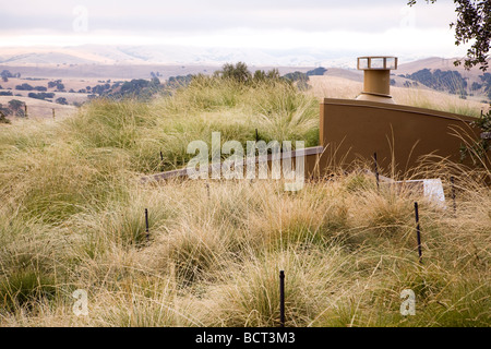 Festuca mairei Atlas Fescue on grass meadow green roof garden for California home with tall irrigation sprinklers Stock Photo