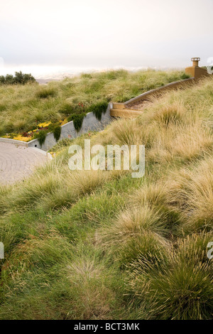 Grass meadow green roof garden with Atlas Fescue and Mediterranean False-brome as naturalistic groundcover for California home Stock Photo