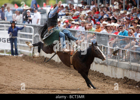 Bareback riding competition at the 90th annual Black Hills Roundup rodeo in Belle Fourche, South Dakota July 4, 2009. Stock Photo