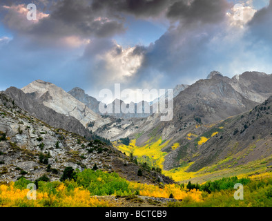 McGee Creek canyon with fall colored aspens Inyo National forest California Stock Photo