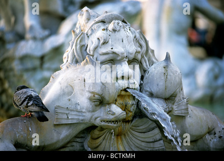 Fountain sculpture, sea creature with fish, Fontana del Moro Fountain, Piazza Navona, Rome, Lazio, Italy, Europe Stock Photo