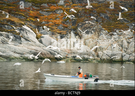 Greenland Fisherman followed by Gulls, Ilulissat or Jakobshavn Stock Photo