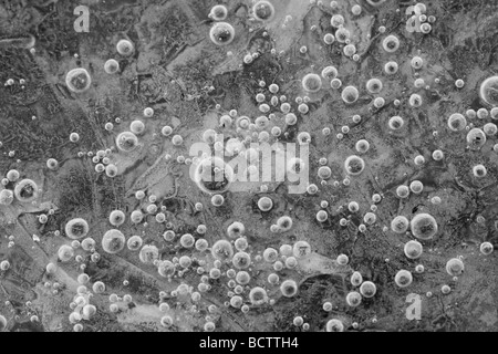 Air bubbles frozen in pond ice Stock Photo