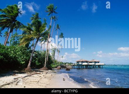 Coconuts Beach Resort Upolo Western Samoa Stock Photo