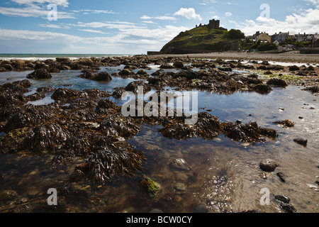 Criccieth beach and castle, Gwynedd, Wales Stock Photo