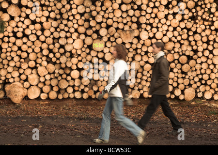 Woodpile in a forestl north from  the city of copenhagen denmark. couple  passing by Stock Photo