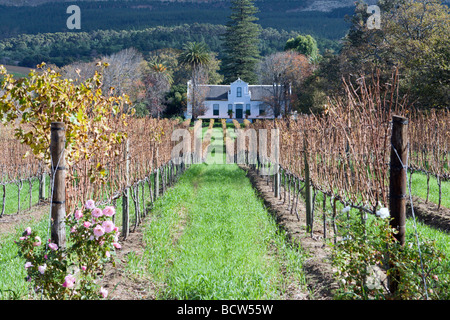 A traditional Cape Dutch homestead on a wine farm called Buitenverwachting in Constantia, Cape Town, South Africa Stock Photo