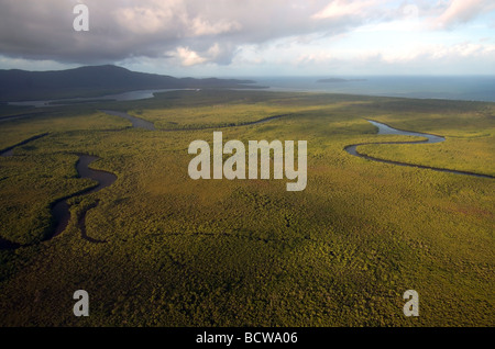 Aerial view of mangrove forest at the mouth of the Daintree River, with Cape Kimberley in background, Daintree National Park Stock Photo