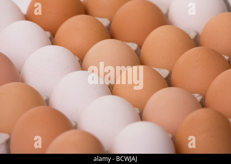 eggs in egg carton Stock Photo