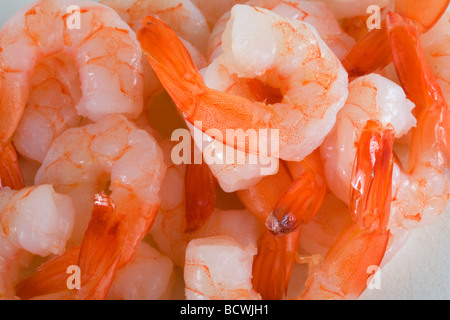 shrimp or prawns Stock Photo