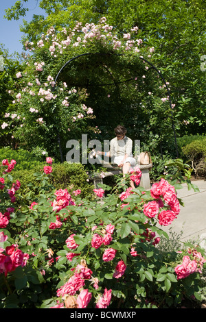 Rose garden at Cleveland Botanical Gardens Cleveland Ohio Stock Photo