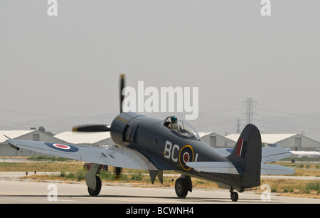 A Hawker Sea Fury taxis on the runway after flying at an air show. (rear quarter view) Stock Photo
