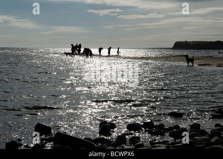 UK. September. Tide going out revealing rock strata fingers sticking out to sea on which people are walking Stock Photo