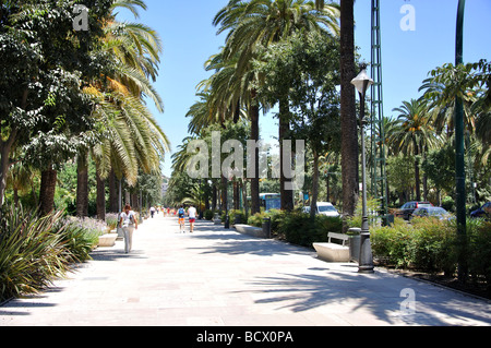 Paseo del Parque, Malaga, Costa del Sol, Malaga Province, Andalusia, Spain Stock Photo