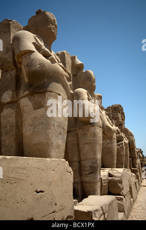 A row of statues at Karnak Temple, Luxor, Egypt Stock Photo