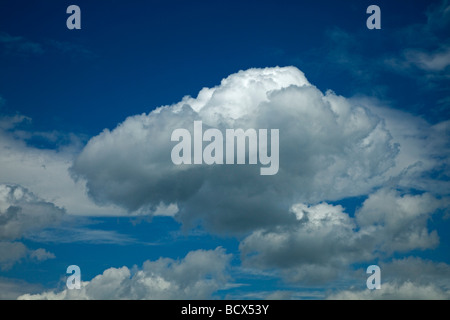 Cumulus Clouds Stock Photo