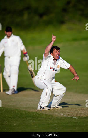 Marnhull CC 1st XL versus Shroton CC, Dorset. Stock Photo