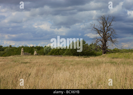 Remains of St Peter's Church, Stanton Low, Milton Keynes, c1100, sole relic of the ancient village of Stanton Low Stock Photo