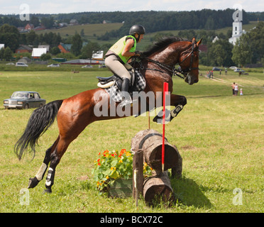 Horse and rider jumping over obstacle in cross country phase of competition Stock Photo