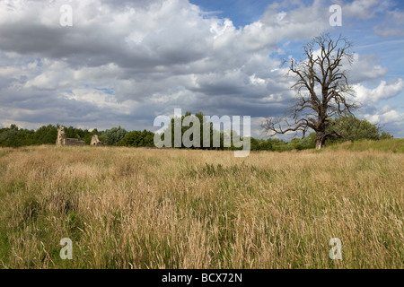 Remains of St Peter's Church, Stanton Low, Milton Keynes, c1100, sole relic of the ancient village of Stanton Low Stock Photo