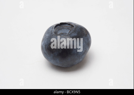 Cutout of a blueberry on white background Stock Photo