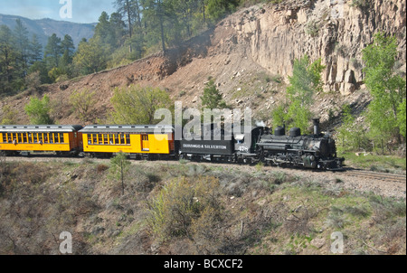 Colorado Durango The Durango Silverton Narrow Gauge Railroad steam train locomotive climbs mountain grade Stock Photo